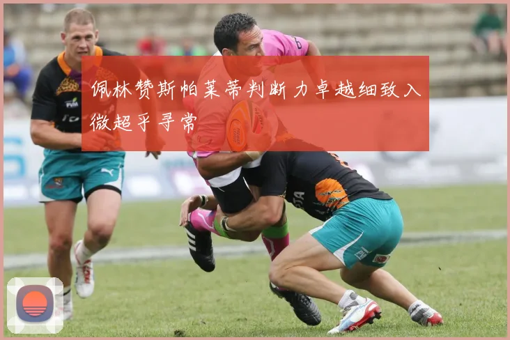 佩林赞斯帕莱蒂判断力卓越细致入微超乎寻常