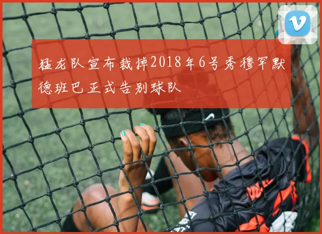 猛龙队宣布裁掉2018年6号秀穆罕默德班巴正式告别球队