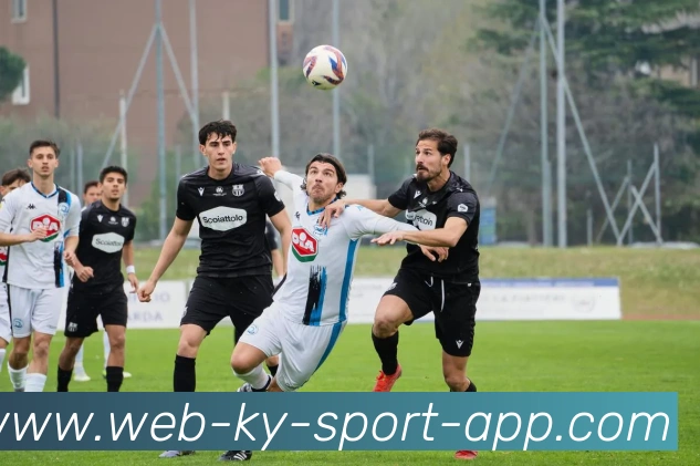 奖项证书